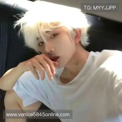 何鹰辉